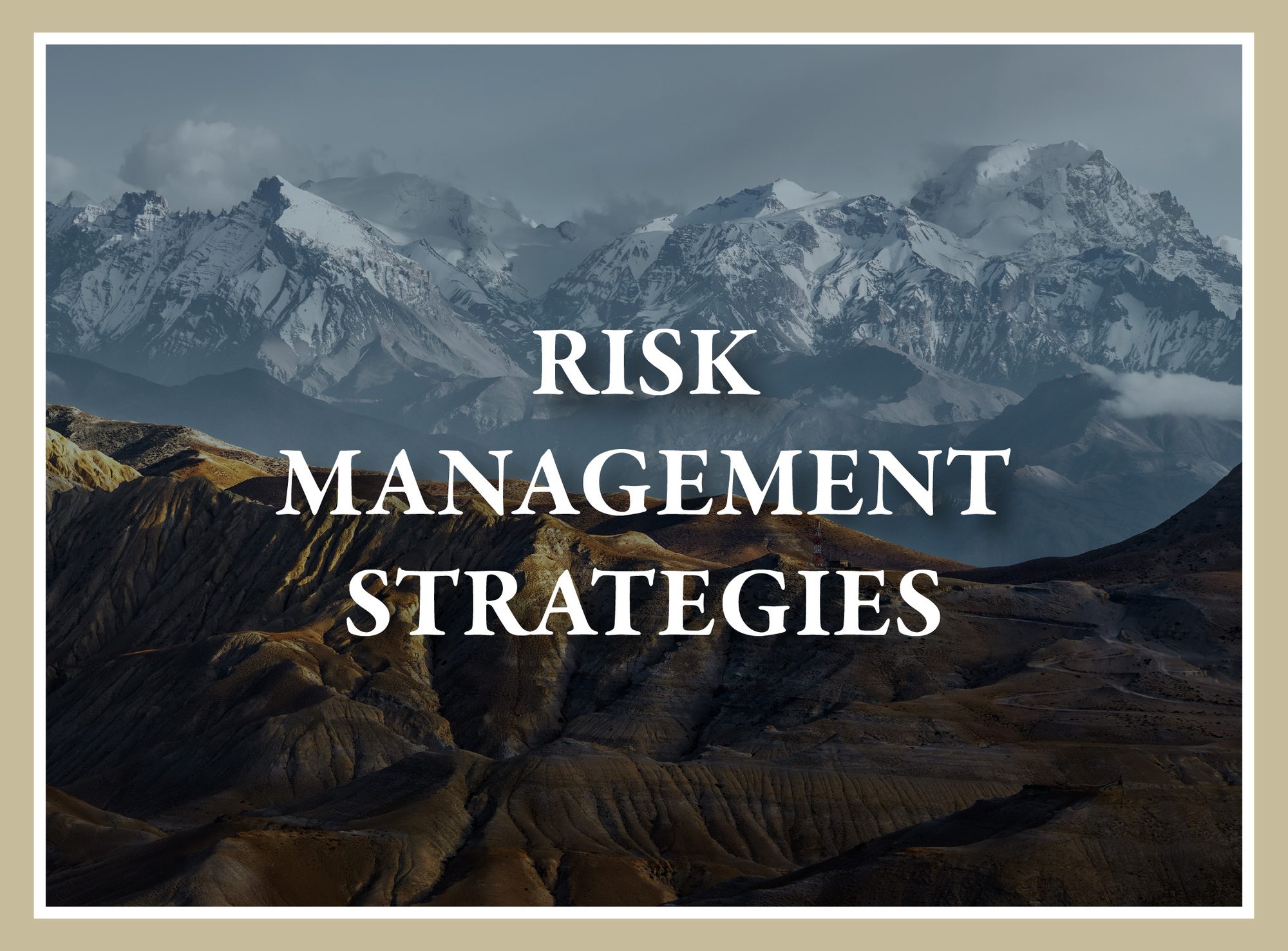 risk management